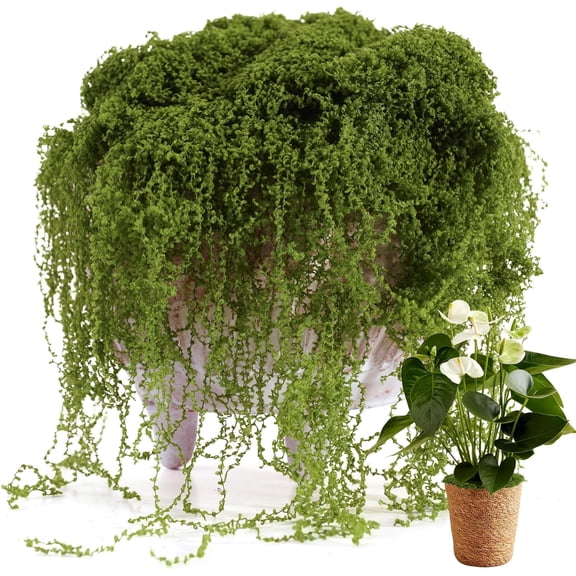 Fake Moss for Potted Plants Indoor, 7OZ Green Moss for Crafts - Realistic Faux Moss Decor for DIY, Terrariums, Fairy Gardens & Table Centerpieces - Craft Moss for Home Decor (Natural Green)