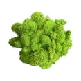 thumbnail image 1 of Fake Moss Preserved Reindeer Moss for Potted Plants, Arts and Crafts, Terrariums, Wall Decor, Centerpieces, Fairy Gardens, Wedding, Floral Project, 1 of 2