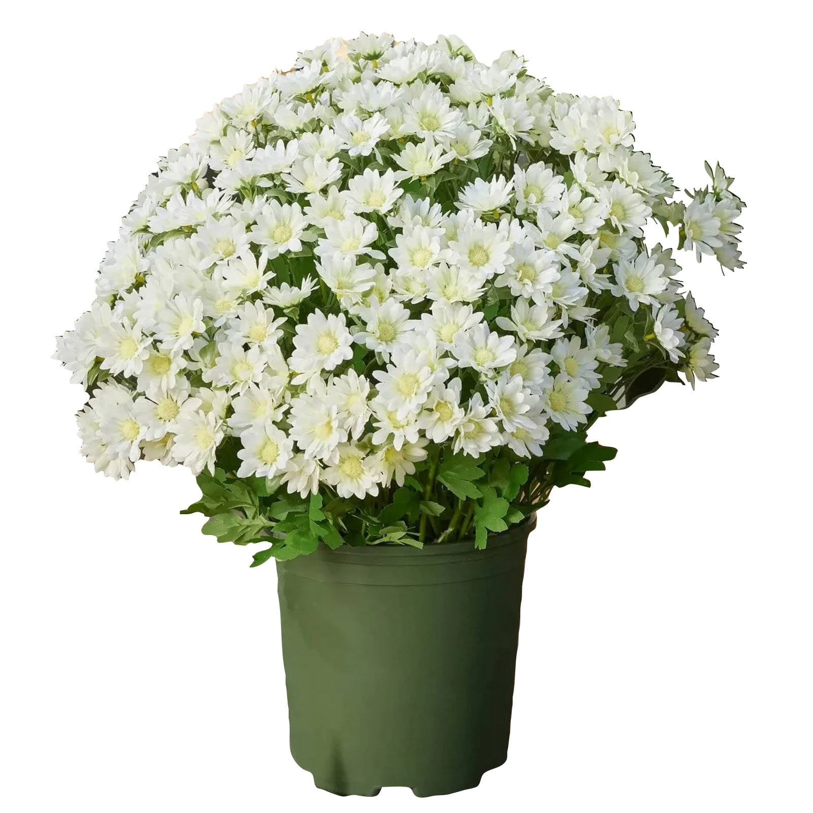 Fake Mums Fall Artificial Flowers, Ongmies 5 Bundles Artificial Sunset Chrysanthemum Flowers – Fade-Proof, Realistic Outdoor Decoration for Garden, Patio & Porch, Outdoors Decorations