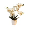 thumbnail image 1 of Fake Orchid Potted Plant Realistic Artificial Orchid with Ceramic Pot for Home Office Dining Table Centerpiece Decoration, 1 of 6