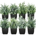 thumbnail image 1 of Fake Plants Mini Potted Artificial Plants, 8 Pack Artificial Eucalyptus Plants Small Houseplants Greenery in Black Round Pot, Small Faux Plants Decor for Home Bathroom Office Farmhouse Desk Shelf, 1 of 5