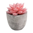 thumbnail image 1 of Fake Plants, Realistic Mini Potted Succulents, Plastic Artificial Plants Decoration, 2.7 X 2.6 X 2.6 Inches Small Faux Plants for Home Office Kitchen Table Desk Indoor Decor, 1 of 6