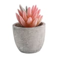 thumbnail image 1 of Fake Plants, Realistic Mini Potted Succulents, Plastic Artificial Plants Decoration, 2.7 X 2.6 X 2.6 Inches Small Faux Plants for Home Office Kitchen Table Desk Indoor Decor, 1 of 6