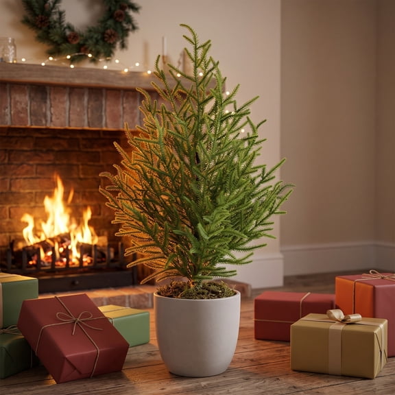 Fake Potted Pine Tree Faux Outdoor Topiary Shrubs Small Ground Standing Holiday Tree Pot Green