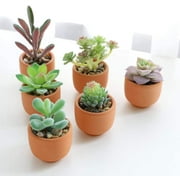 Fake Succulents Plants Artificial Faux Succulents Small 4pcs Mini Potted Plastic Succulents for Christmas Home Office Living Room Desk Decor Aesthetic