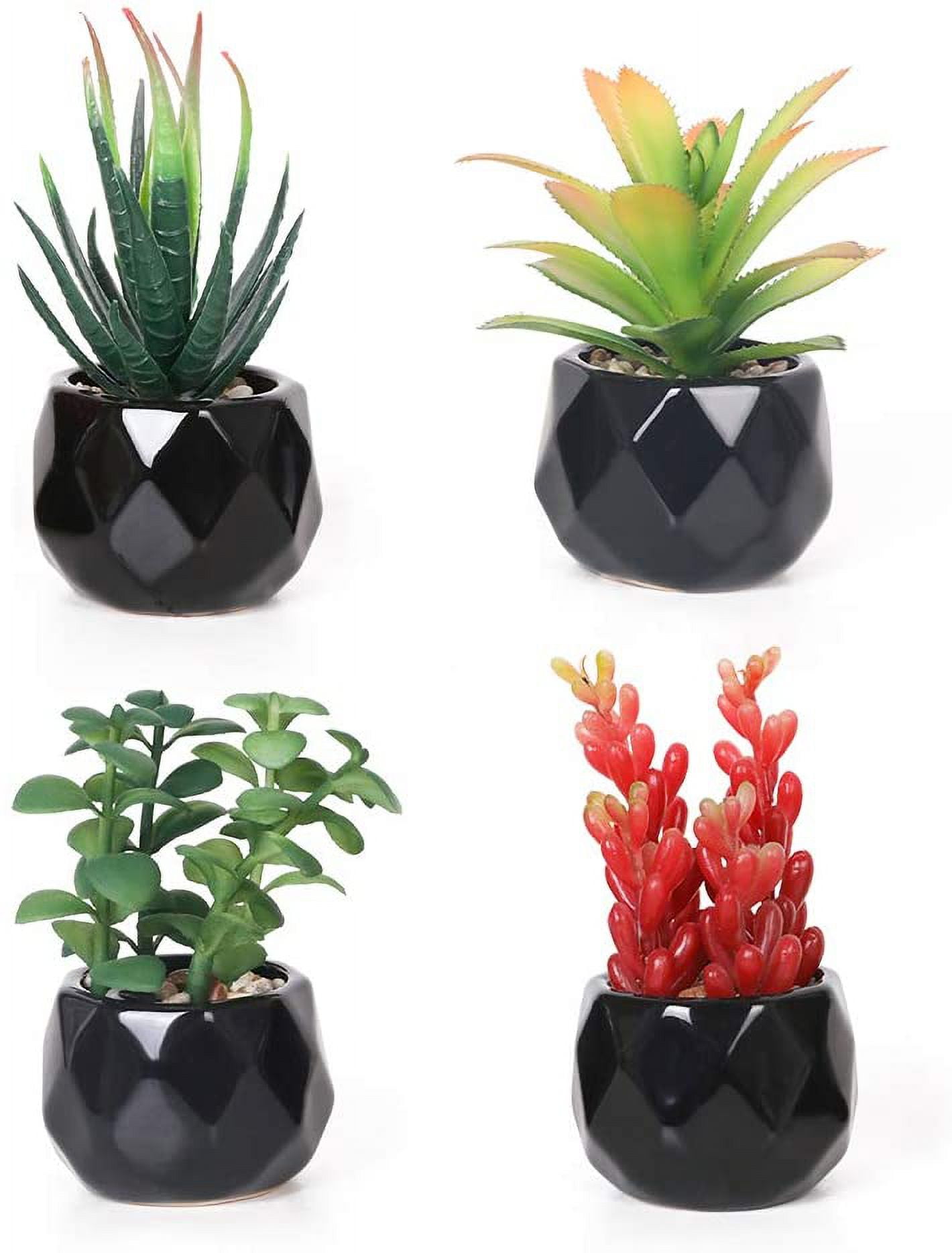 Visual idea from this collection