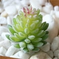 thumbnail image 1 of Fake Succulents Plants Artificial Small Plant 1Pcs Artificial Succulents Plants Faux Plastic Succulents Mini Fake Plants Realistic Artificial Fake Plants, 1 of 4