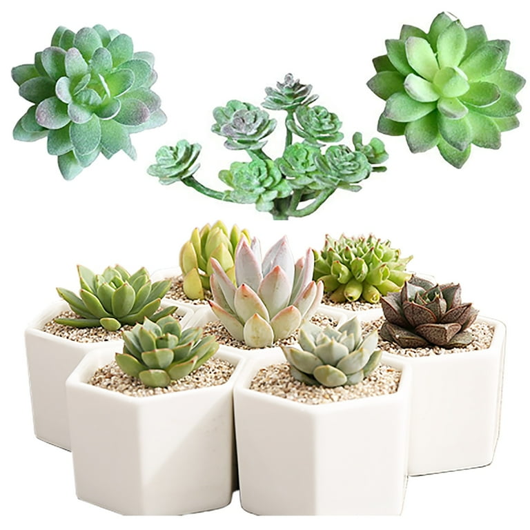 Fake Mini Succulent Plant Artificial Plastic Flower Container Garden Home Decor Fake Mini Succulent Plant Artificial Plastic Flower Container Garden Home Decor