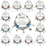 FALARI Zodiac Charm Bracelet Multi-Color Slide Metal Murano Beads Silvertone Gift Box Included Aquarius Jan 21 - Feb 18