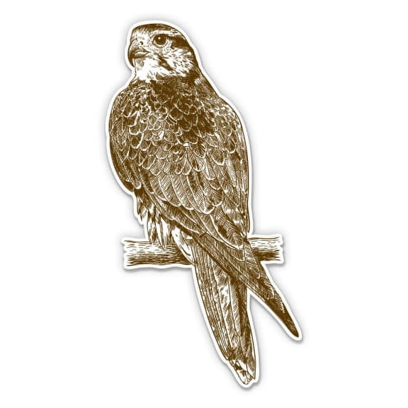 Falcon - 3" Vinyl Sticker - For Car Laptop Water Bottle Phone - Waterproof Decal