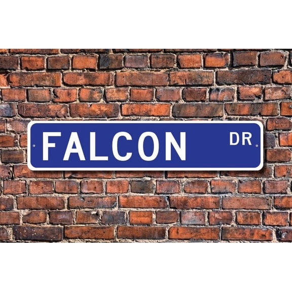 Falcon Falcon Gift Falcon Sign Falcon decor Falcon lover Falcon expert bird of prey bird lover Custom Street Metal Aluminum Sign - Size: 16 x 4 Inches