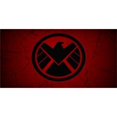 thumbnail image 1 of Falcon Logo Photo License Plate, 1 of 1