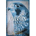 thumbnail image 1 of Pre-Owned Falcon (Paperback) 1780236417 9781780236414, 1 of 1