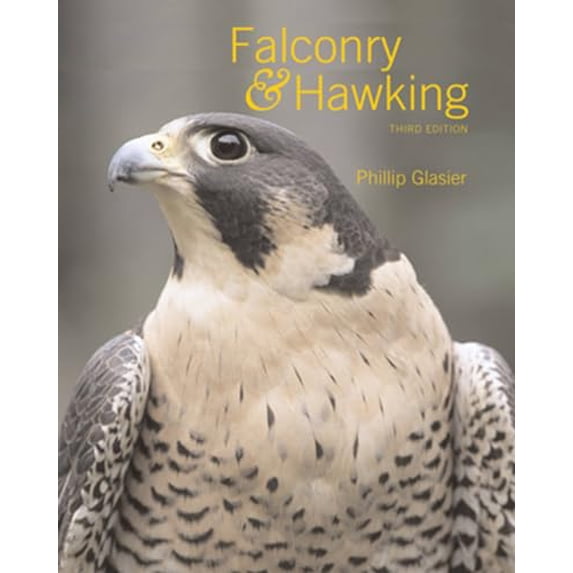 Pre-Owned Falconry & Hawking (Hardcover) 0713484071 9780713484076