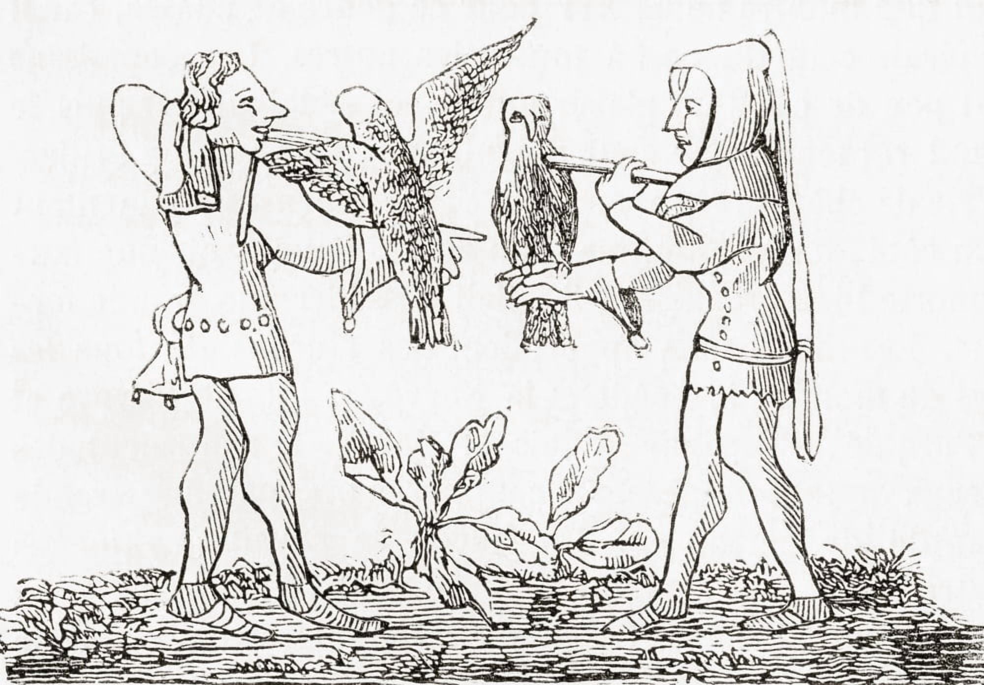 Falconry in the middle ages From Le Magasin Pittoresque published 1843 Canvas Art - Ken Welsh Design Pics (32 x 22)