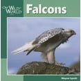 thumbnail image 1 of Pre-Owned Falcons (Paperback) 1559719125 9781559719124, 1 of 1