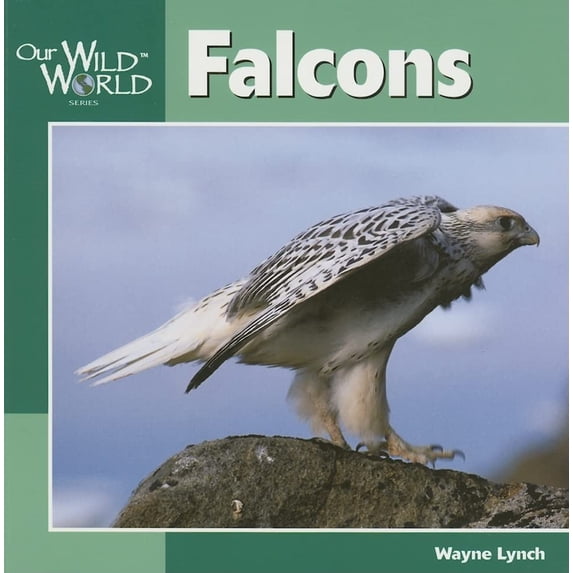 Pre-Owned Falcons (Paperback) 1559719125 9781559719124