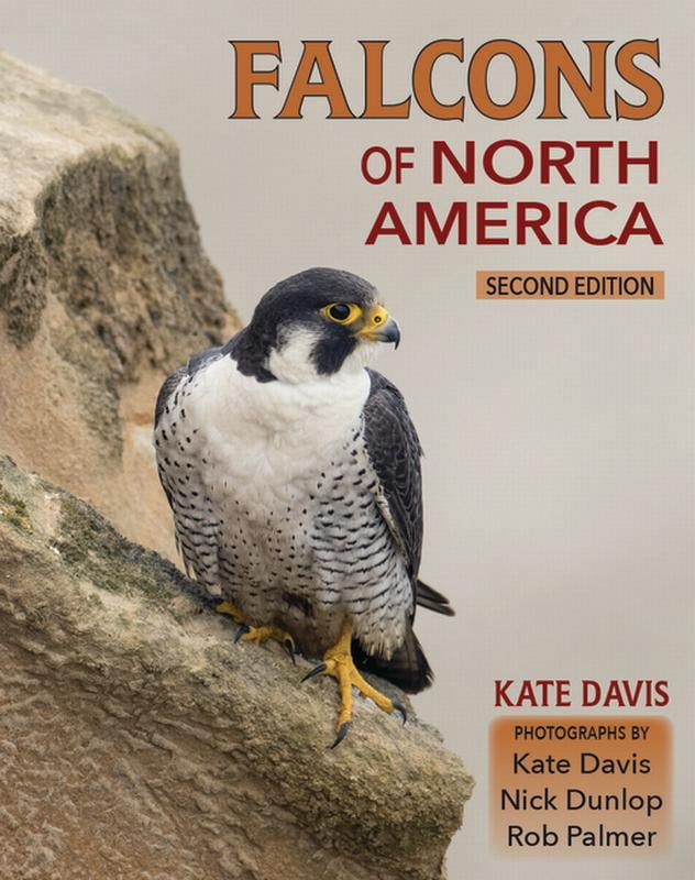Falcons of North America  Paperback  0878427015 9780878427017 Kate Davis