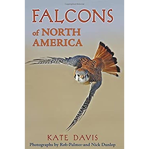 Pre-Owned Falcons of North America (Paperback) 0878425535 9780878425532