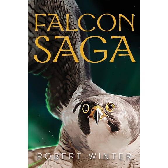 Falconsaga Falconsaga: A Tale of Icelandic Folklore, Book 1, (Paperback)