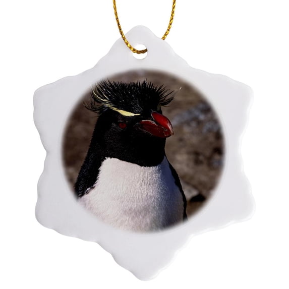 3drose, Falkland Islands, Rockhopper Penguin - Sa09 Csl0005 - Charles Sleicher, 3 inch Snowflake Porcelain Ornament