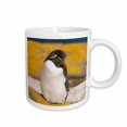 thumbnail image 1 of 3drose, Falkland Islands, Rockhopper Penguin - Sa09 Hro0029 - Hugh Rose, 15oz Mug, 1 of 6