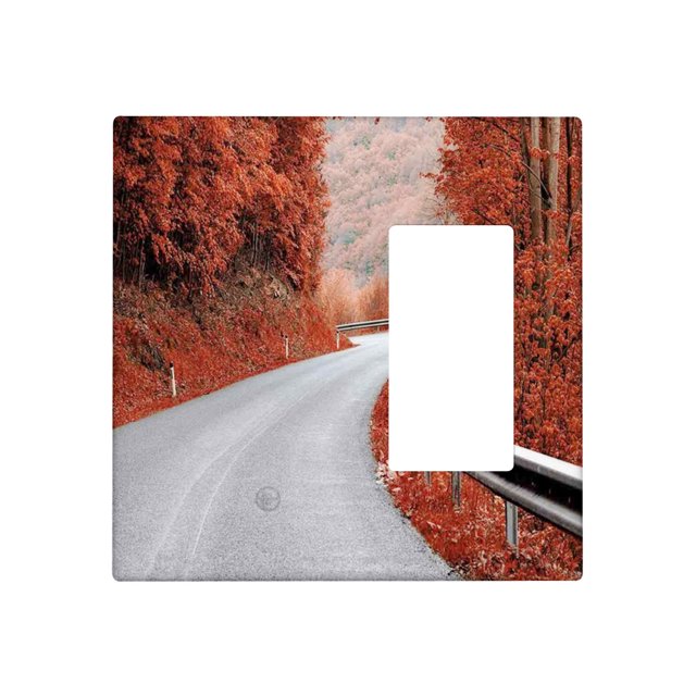 Fall 2 Gang Wall Plate 1 Blank 1 Rocker Switch Plate Decorative,Dreamy