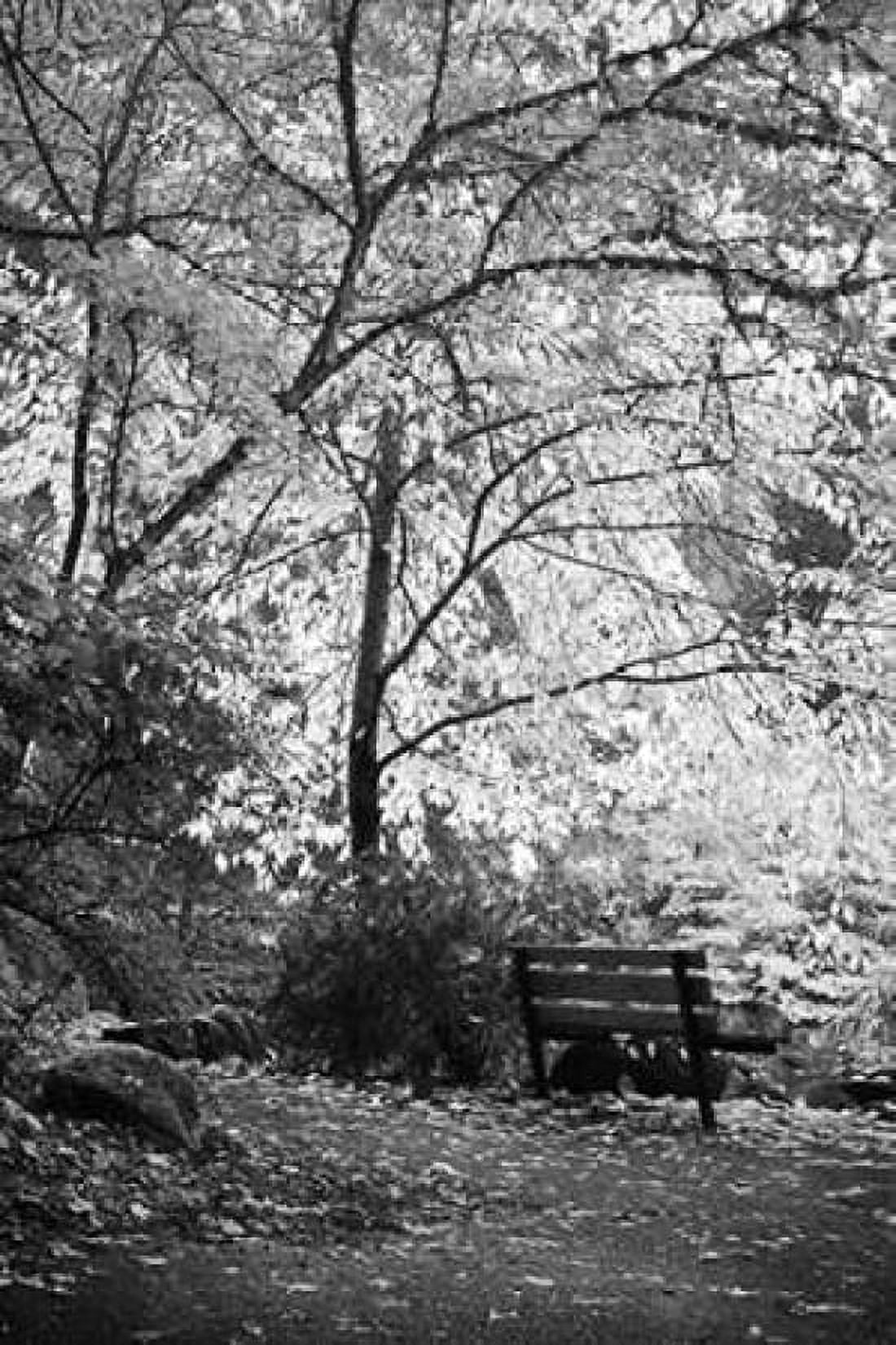 Fall Abundance I B and W Canvas Art - Vitaly Geyman (24 x 36)