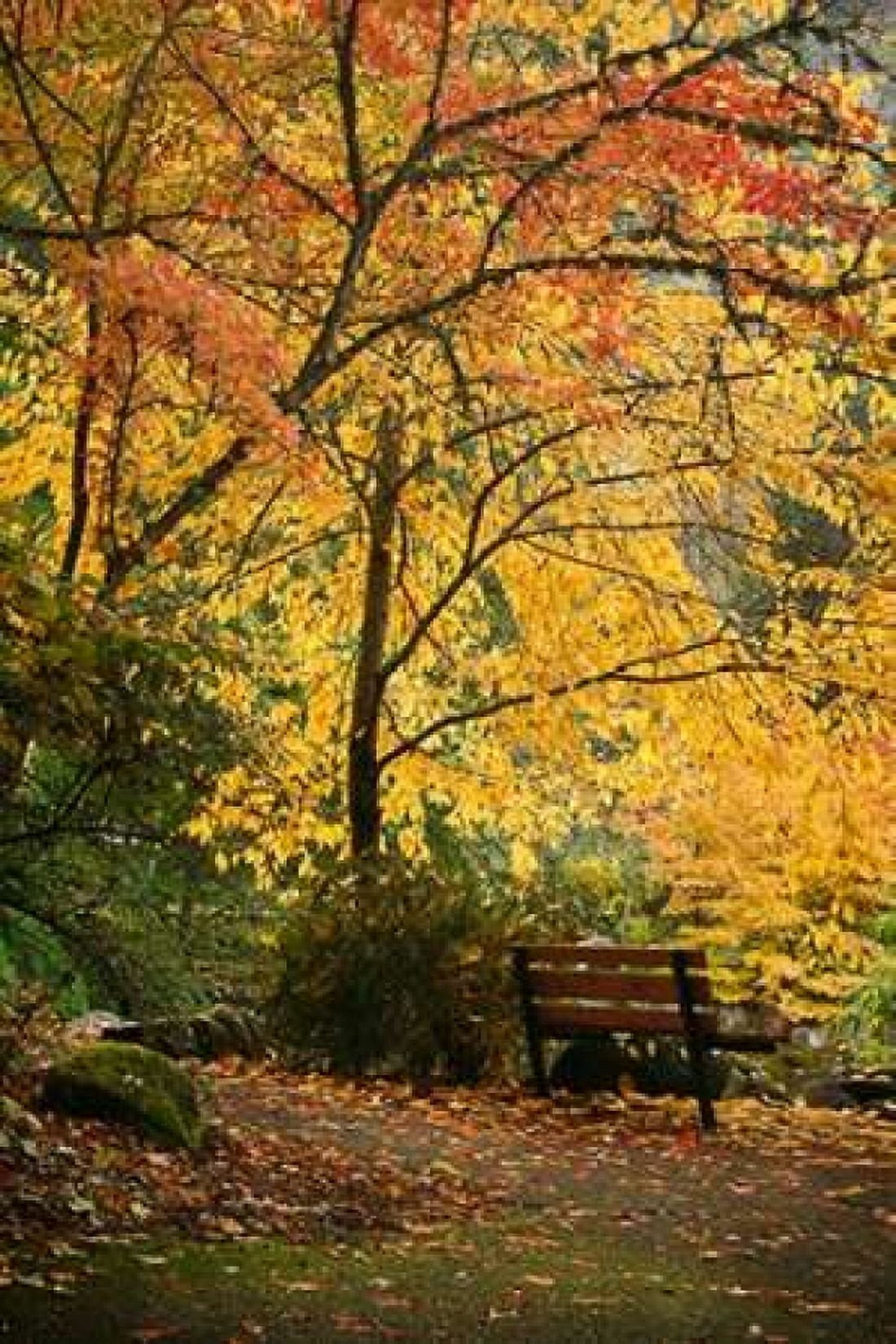 Fall Abundance I Canvas Art - Vitaly Geyman (12 x 18)