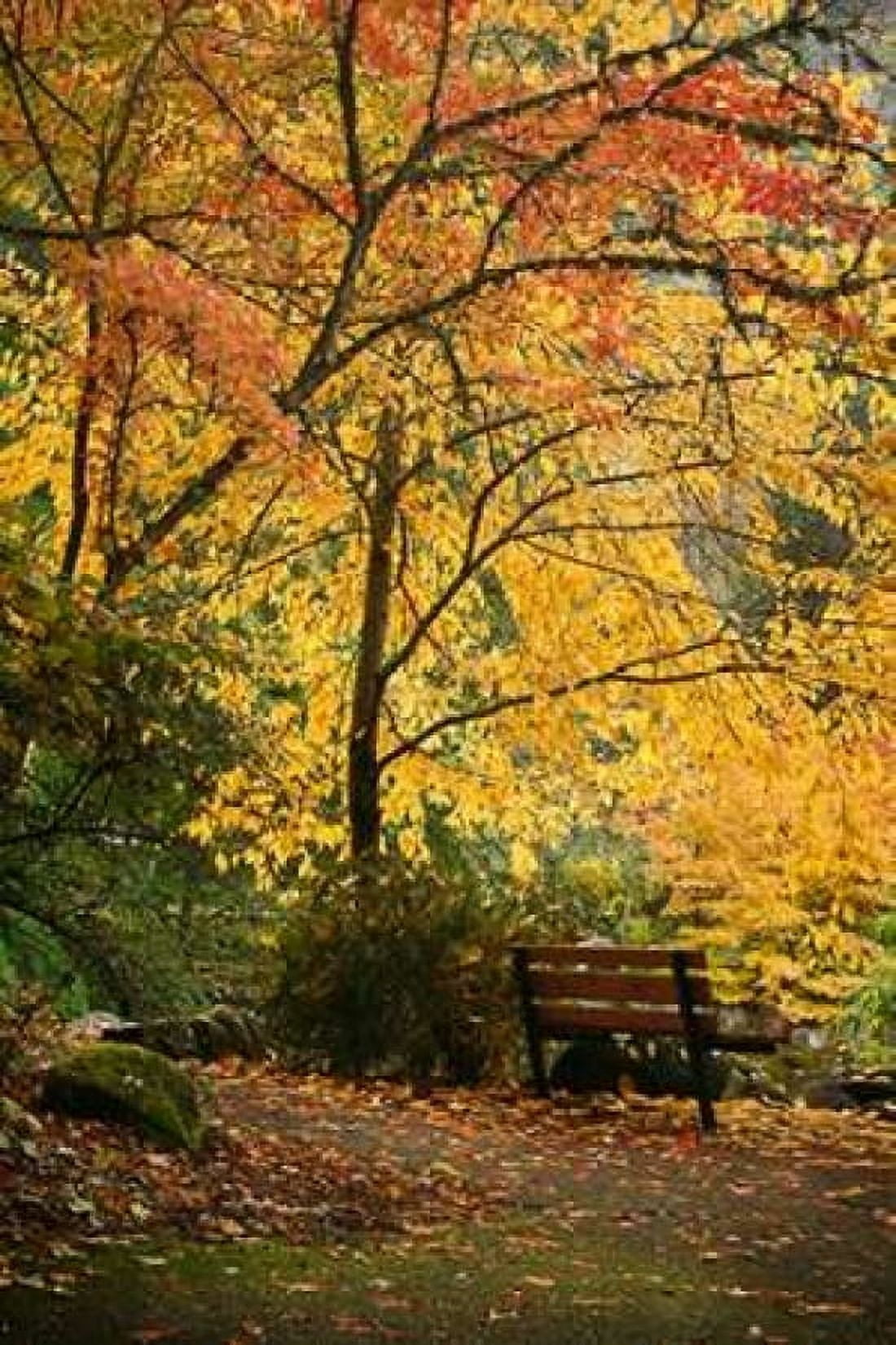 Fall Abundance I Canvas Art - Vitaly Geyman (24 x 36)
