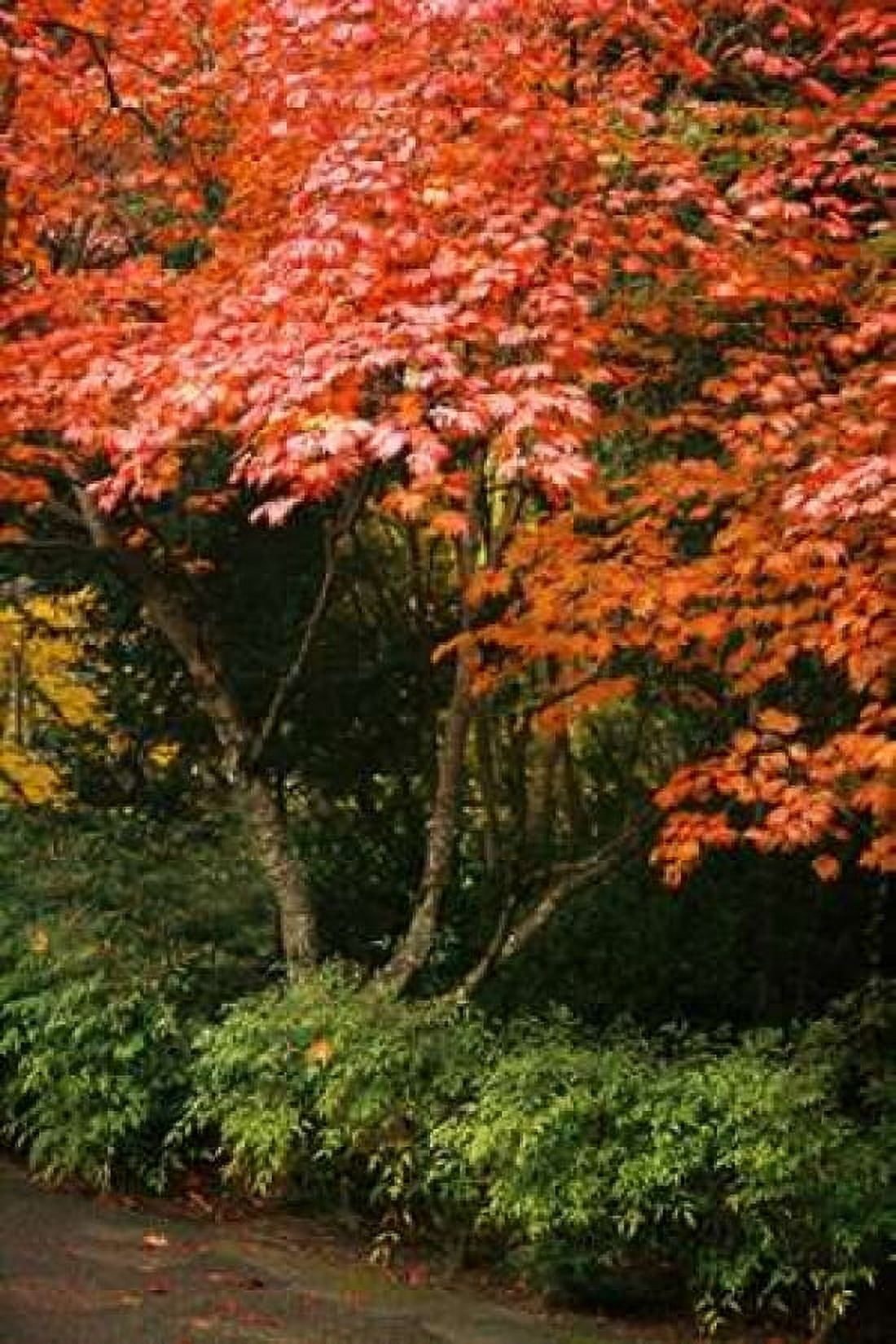 Fall Abundance IV Canvas Art - Vitaly Geyman (24 x 36)