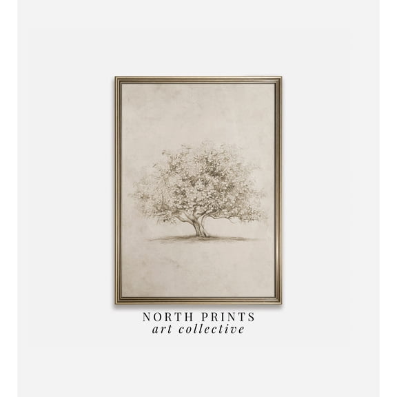 Fall Apple Tree Sketch French Country Poster, Unframed Size 8x12