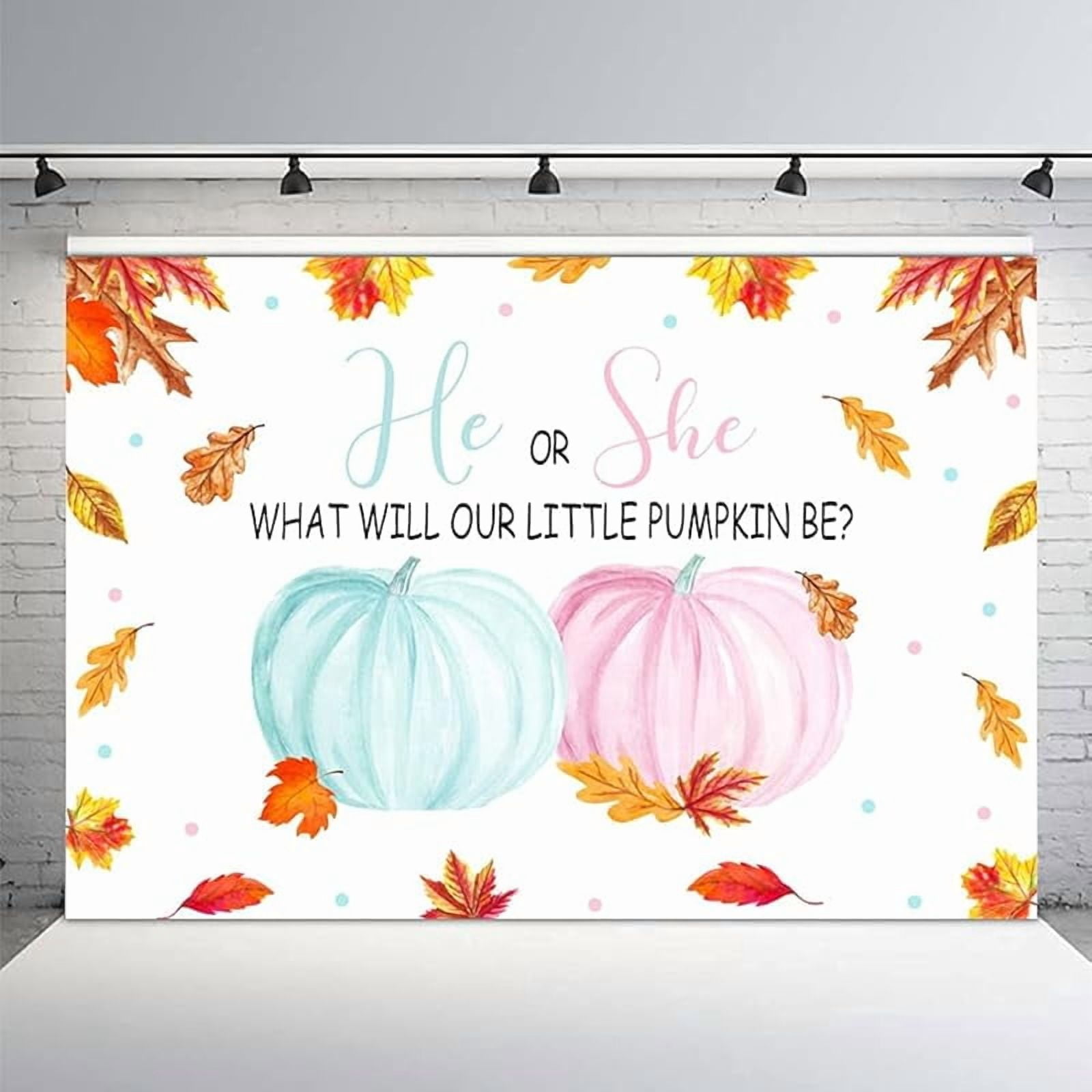 Fall Autumn Pumpkin Gender Reveal Beautiful Backdrop Fall Autumn He or