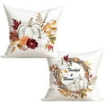 thumbnail image 1 of Fall Autumn Thanksgiving Pumpkin Throw Pillows Cover 18x18 Set of 2 Grey White Orange Flowers Leaves Harvest Pillow Covers Thankful Blessed Decorative Pillow Cases for Outdoor Bedroom Couch Sofa Decor, 1 of 6