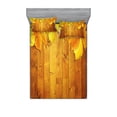 thumbnail image 1 of Fall Bedding Set with Sheet & Covers, Colorful Vivid Seasonal Leaves on the Wooden Planks Natural Design Rustic, Printed Bedroom Decor 2 Shams, 4 Sizes, Yellow Orange Green, by Ambesonne, 1 of 3