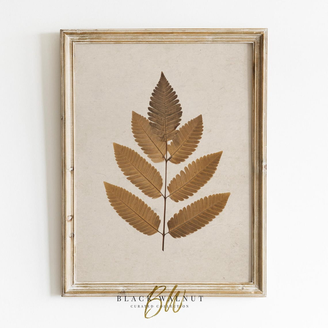 Fall Botanical Wall Art Print, Neutral Autumn, Leaf Fern, Rustic ...