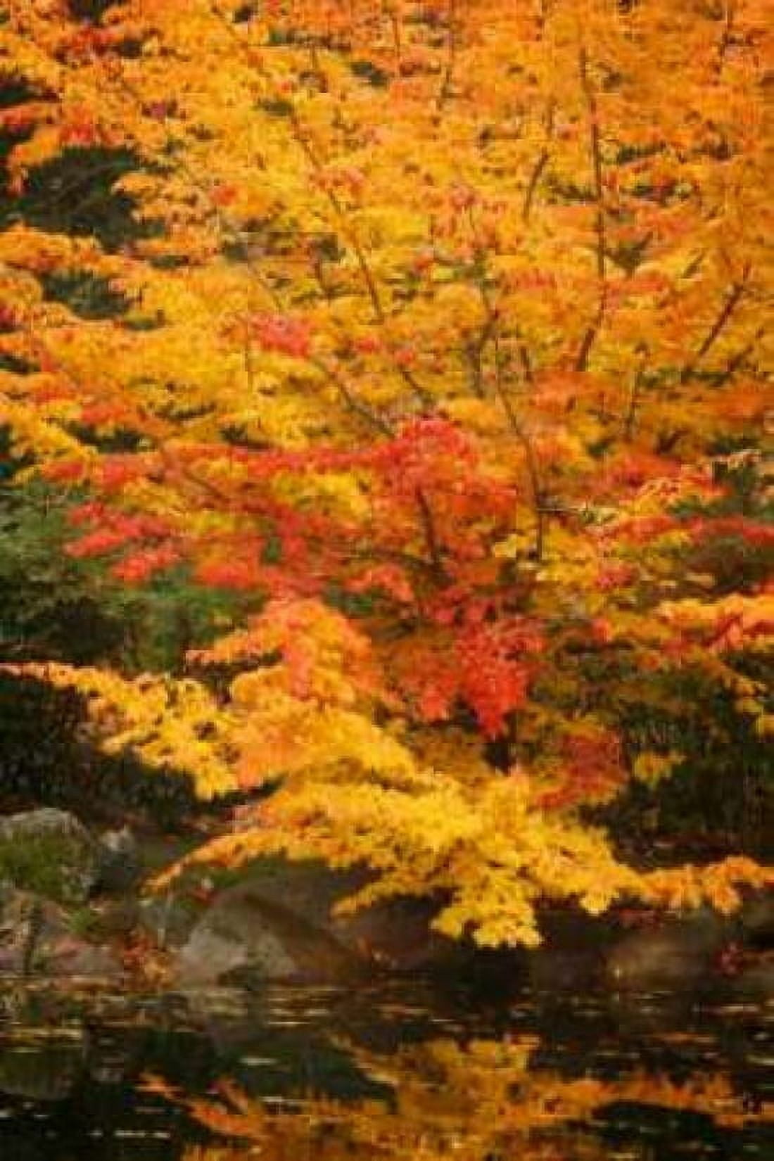Fall Bouquet I Canvas Art - Vitaly Geyman (24 x 36)