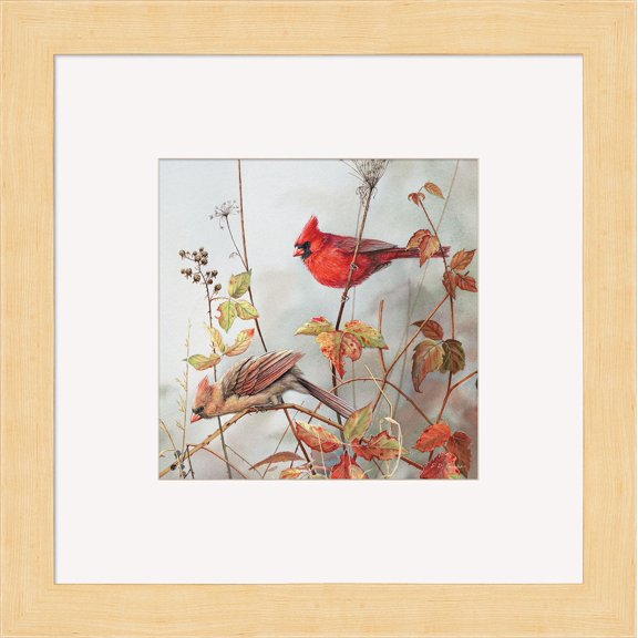 Fall BrillianceCardinals
