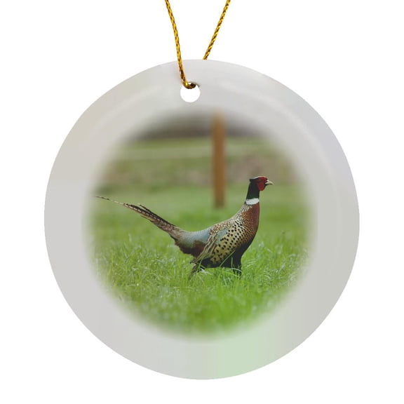 3drose, Fall City, Wa. Male Ring-necked Pheasant at Liberty on a Farm., Circle Porcelain Ornament