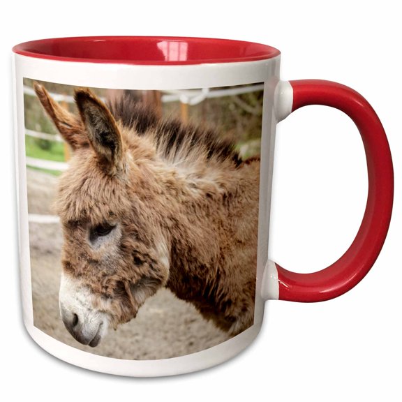 3drose, Fall City, Wa. Portrait of a Miniature Mediterranean Donkey Foal., 11oz Two-tone Red Mug