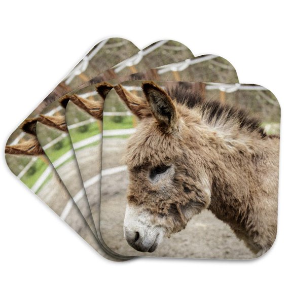3drose, Fall City, Wa. Portrait of a Miniature Mediterranean Donkey Foal., Set of 4 Coasters - Soft
