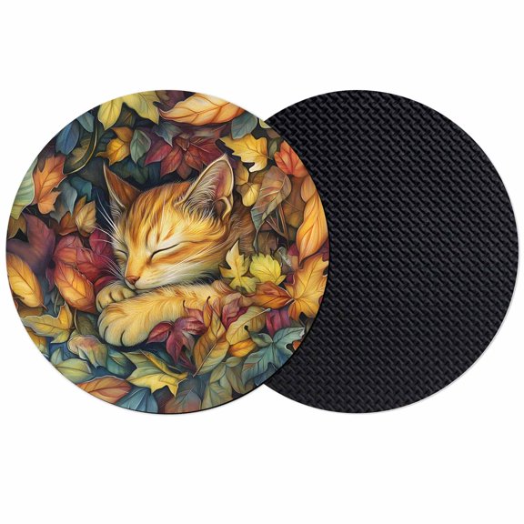Fall Coasters Set of 2, Absorbent Coasters for Drinks, Thanksgiving Country Watercolor Cat Maple Leaf Coaster for Desk Coffee Table Protection, Home Decor House Warming Gifts 4"