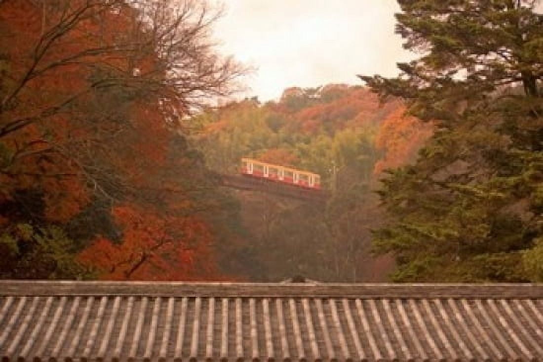 Fall Color around Cable Train Railway Kyoto Japan Canvas Art - Shin Terada DanitaDelimont (36 x 24)