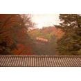 thumbnail image 1 of Fall Color around Cable Train Railway, Kyoto, Japan Poster Print by Shin Terada (36 x 24), 1 of 1