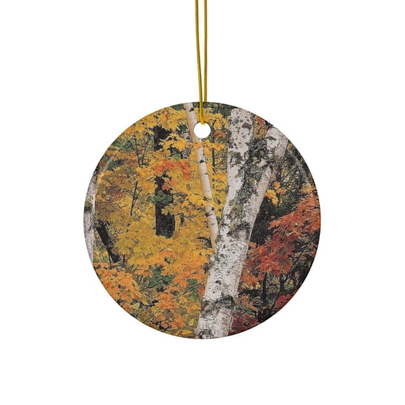 Fall Colored Birch Trees Thanksgiving Christmas 2D FLAT CIRCLE Ceramic Ornament