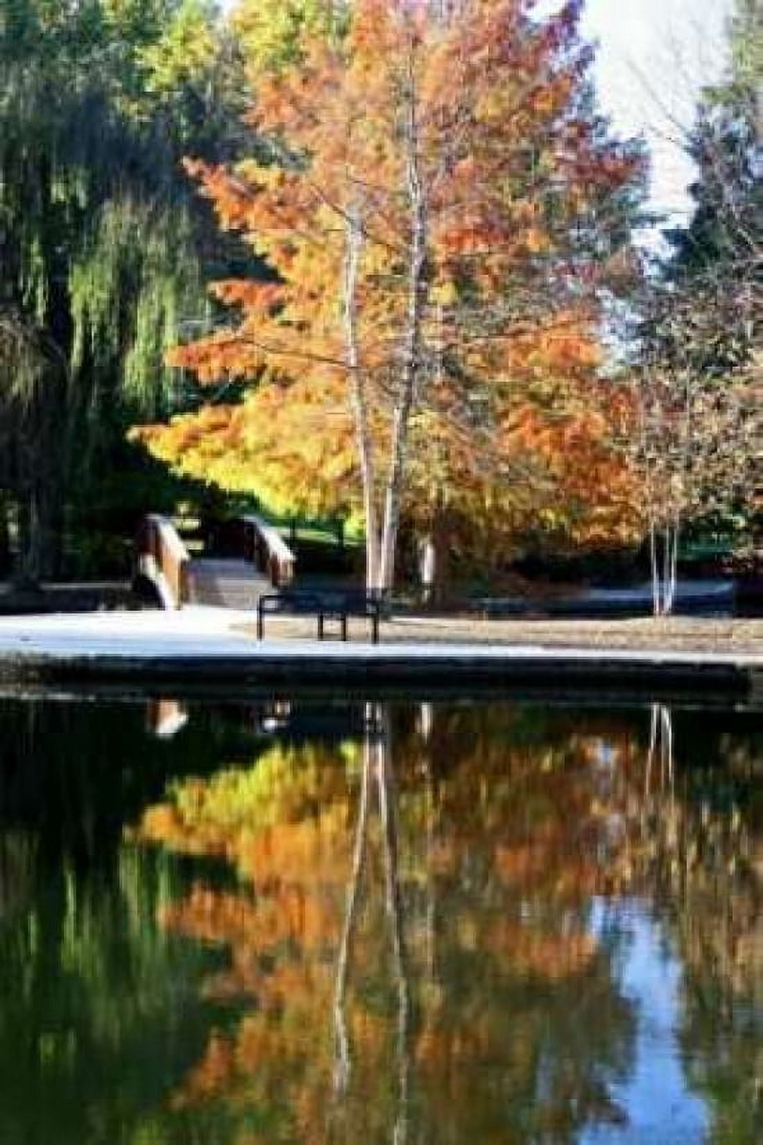 Fall Colors Canvas Art - Tammy Putman (20 x 28)