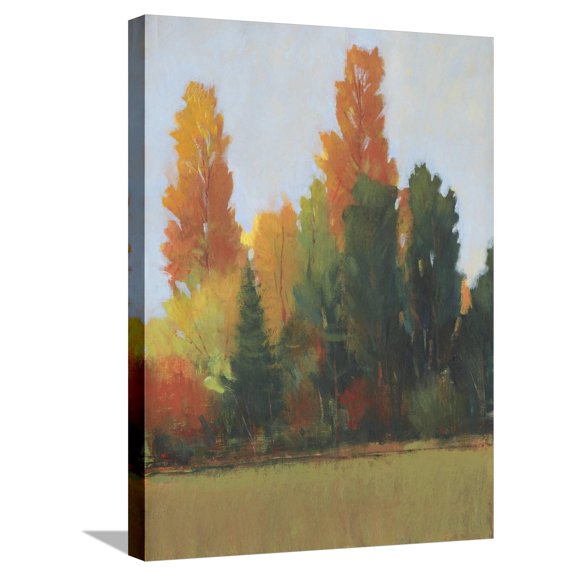 Art.com Fall Colors I Stretched Canvas Print Wall Art by Tim OToole, 18" x 24"