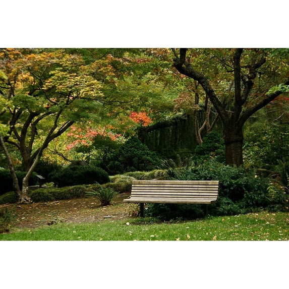 Fall Colors IV by Vitaly Geyman (36 x 24)