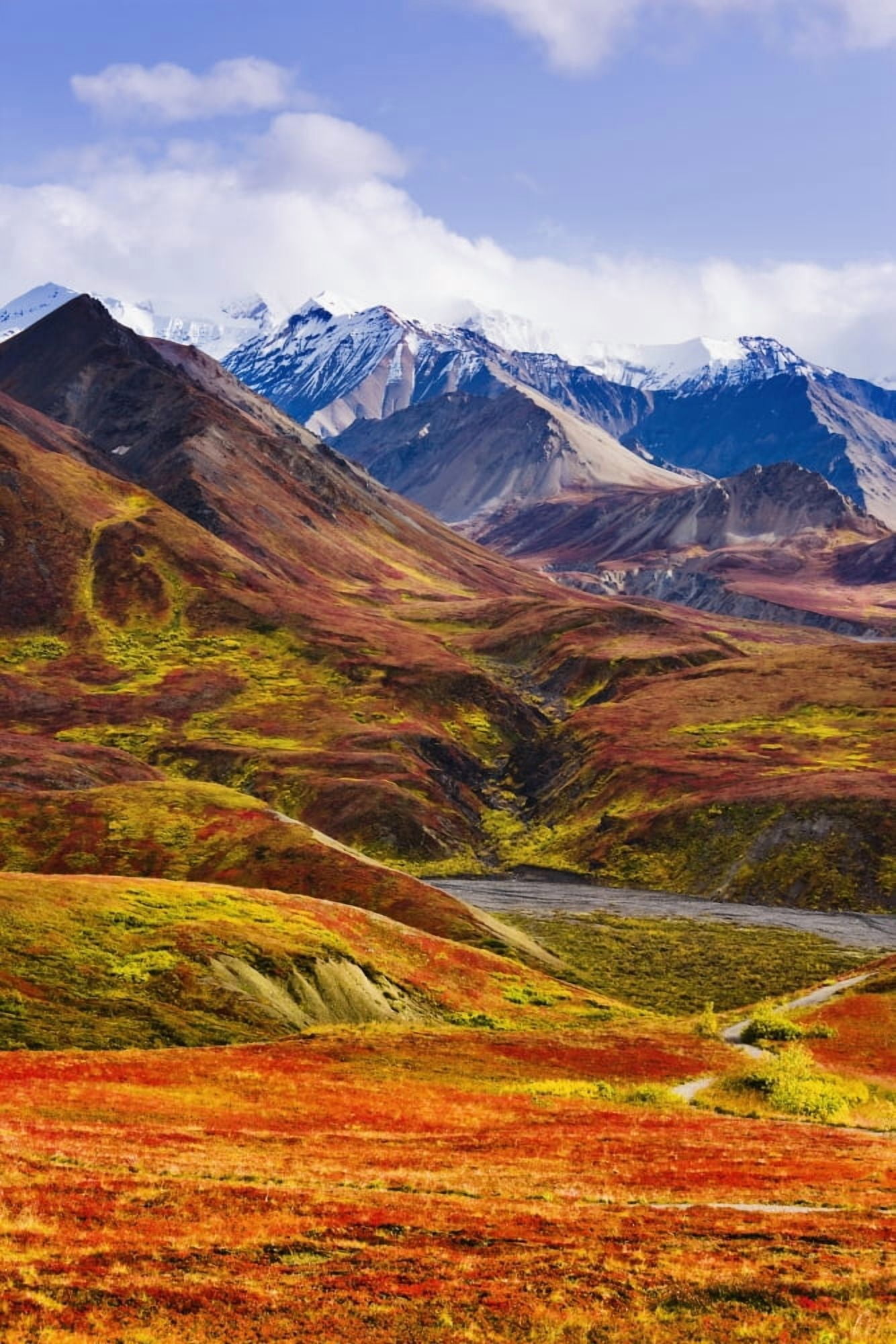 Fall Colours And Alaska Range Denali National Park Alaska Canvas Art - Yves Marcoux Design Pics (22 x 34)