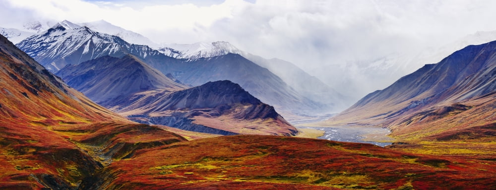 Fall Colours And Alaska Range Denali National Park Alaska Canvas Art - Yves Marcoux Design Pics (44 x 18)